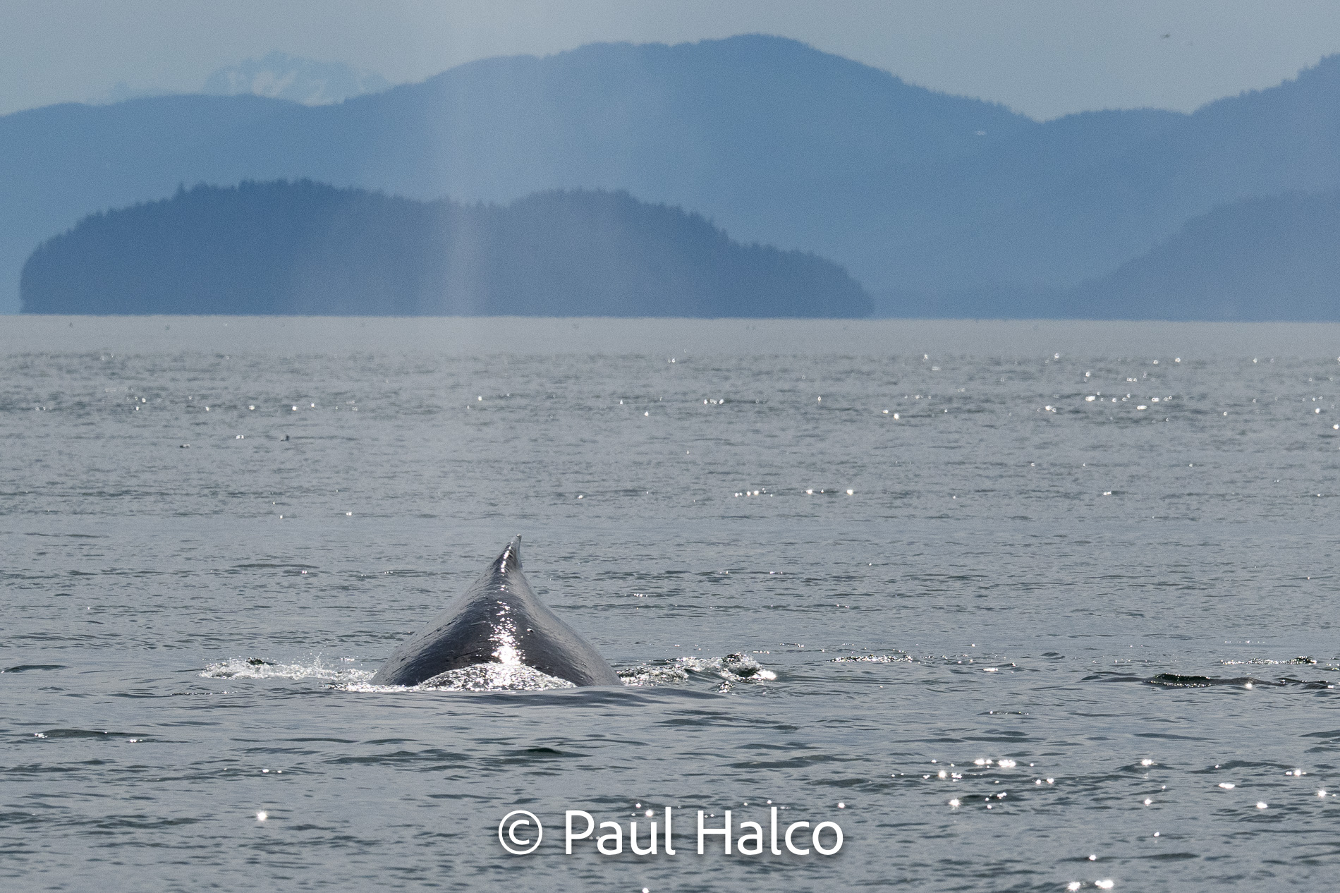 Paul Halco - General Alaska-19
